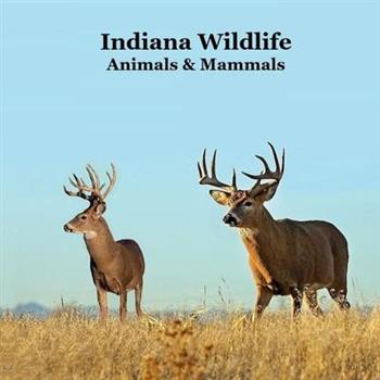Indiana Animals and Mammals Kids Wildlife Book