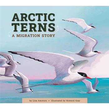 Arctic Terns