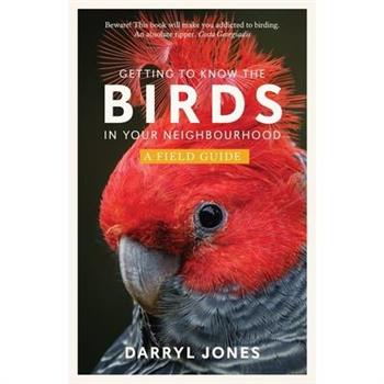 Getting to Know the Birds in Your Neighbourhood