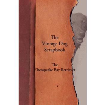The Vintage Dog Scrapbook - The Chesapeake Bay Retriever