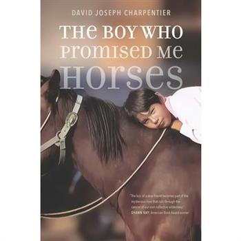 The Boy Who Promised Me Horses