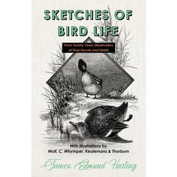 Sketches of Bird Life - From Twenty Years Observation of Their Haunts and Habits - With Illustrations by Wolf, C. Whymper, Keulemans, and Thorburn