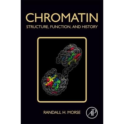 Chromatin