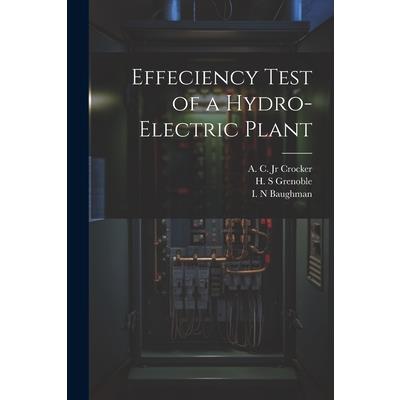 Effeciency Test of a Hydro-electric Plant