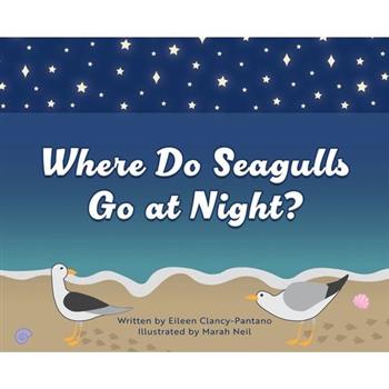Where Do Seagulls Go at Night?