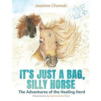 It’s Just a Bag, Silly Horse