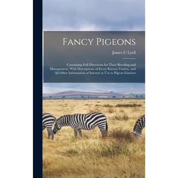Fancy Pigeons