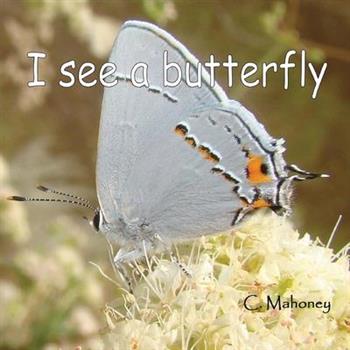 I see a butterfly