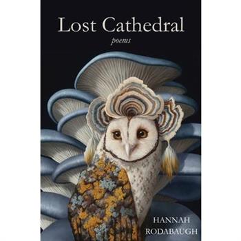 Lost Cathedral