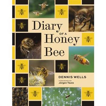 Diary of a Honey Bee