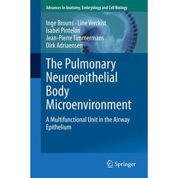 The Pulmonary Neuroepithelial Body Microenvironment