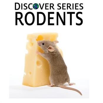 Rodents
