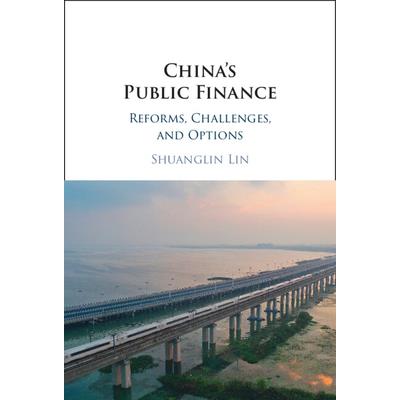 China's Public Finance