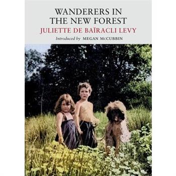 Wanderers in the New Forest