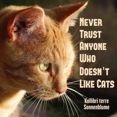 Never Trust Anyone Who Doesn’t Like Cats