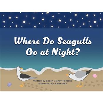 Where Do Seagulls Go at Night?