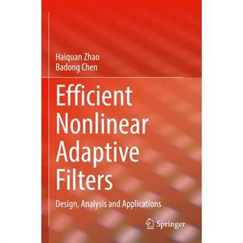 Efficient Nonlinear Adaptive Filters