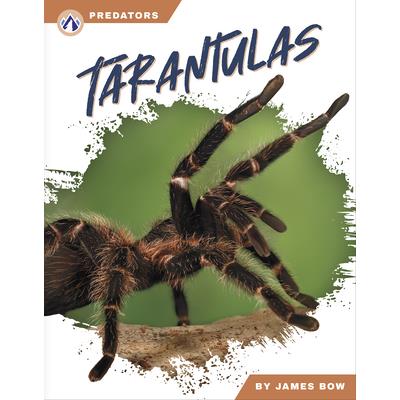 Tarantulas