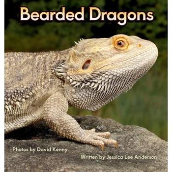 Bearded Dragons
