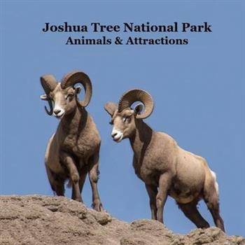 Joshua Tree National Park Animals and Attractions Kids Book