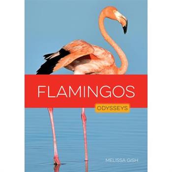 Flamingos