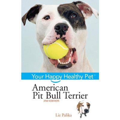 American Pit Bull Terrier