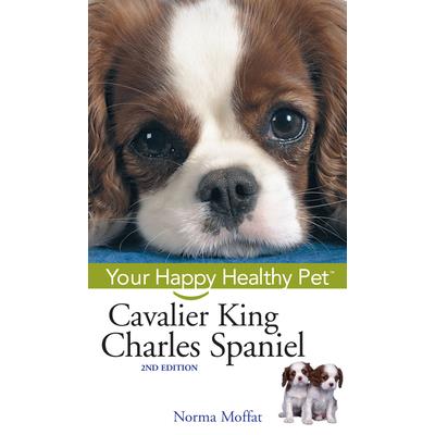Cavalier King Charles Spaniel
