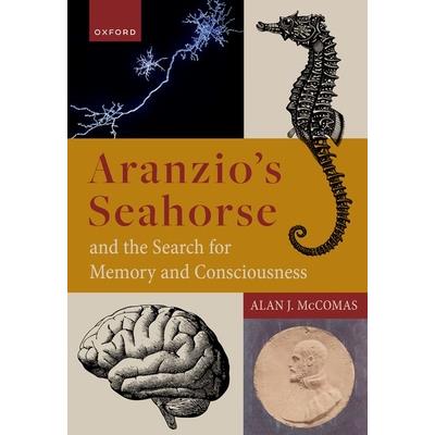 Aranzio’s Seahorse and the Search for Memory and Consciousness