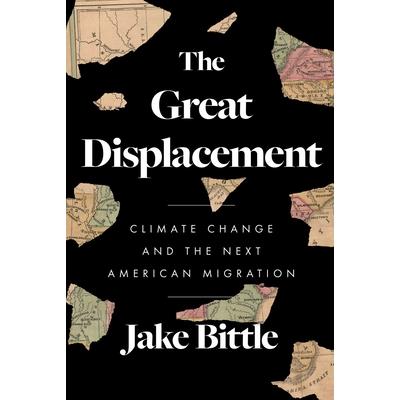 The Great Displacement