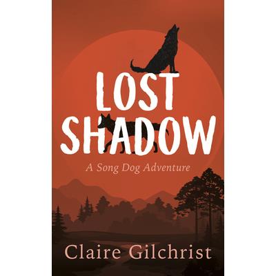 Lost Shadow