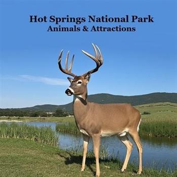 Hot Springs National Park Animals and Attractions Kids Book