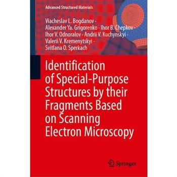 Identification of Special-Purpose Structures by Their Fragments Based on Scanning Electron Microscopy