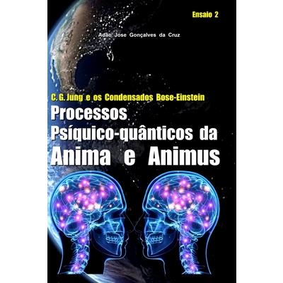 C. G. Jung e os Condensados Bose-Einstein