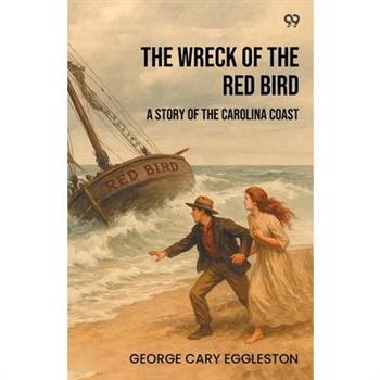 The Wreck Of The Red Bird A Story Of The Carolina Coast
