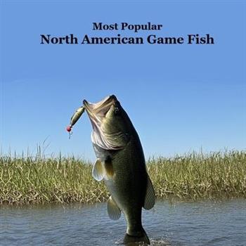 Most Popular North American Game Fish Species Kids Book