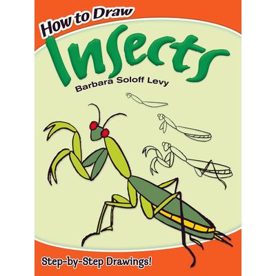 How to Draw Insects