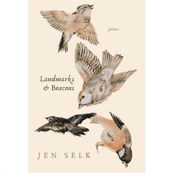 Landmarks and Beacons