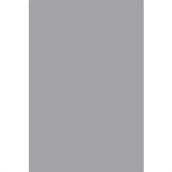 Fighting Germany's Spies