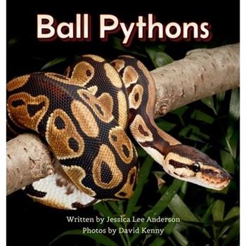 Ball Pythons