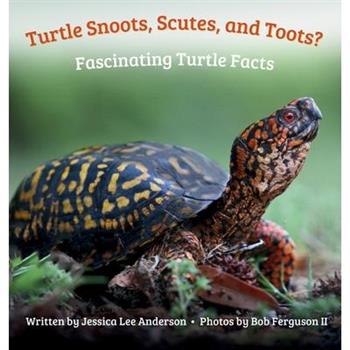 Turtle Snoots, Scutes, and Toots? Fascinating Turtle Facts