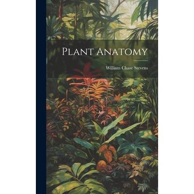 Plant Anatomy