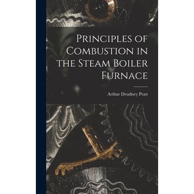 Principles of Combustion in the Steam Boiler Furnace