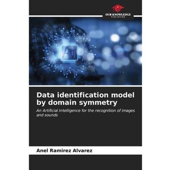 Data identification model by domain symmetry