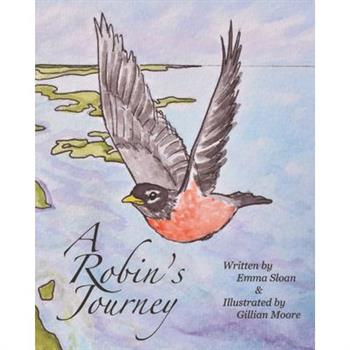 A Robin’s Journey