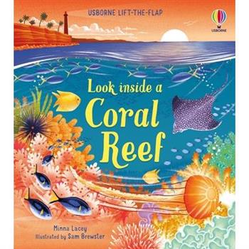 Look Inside a Coral Reef