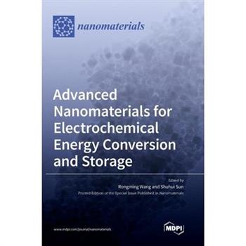 Advanced Nanomaterials for Electrochemical Energy Conversion and Storage