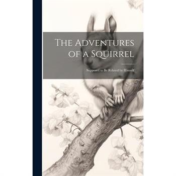 The Adventures of a Squirrel
