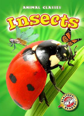 Insects