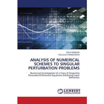 Analysis of Numerical Schemes to Singular Perturbation Problems