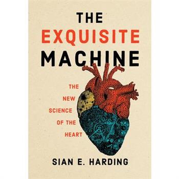 The Exquisite Machine